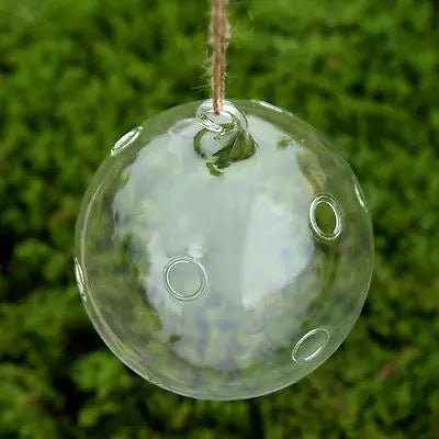 Glass Hanging Ball Planter