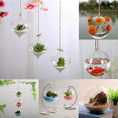 Glass Hanging Ball Planter