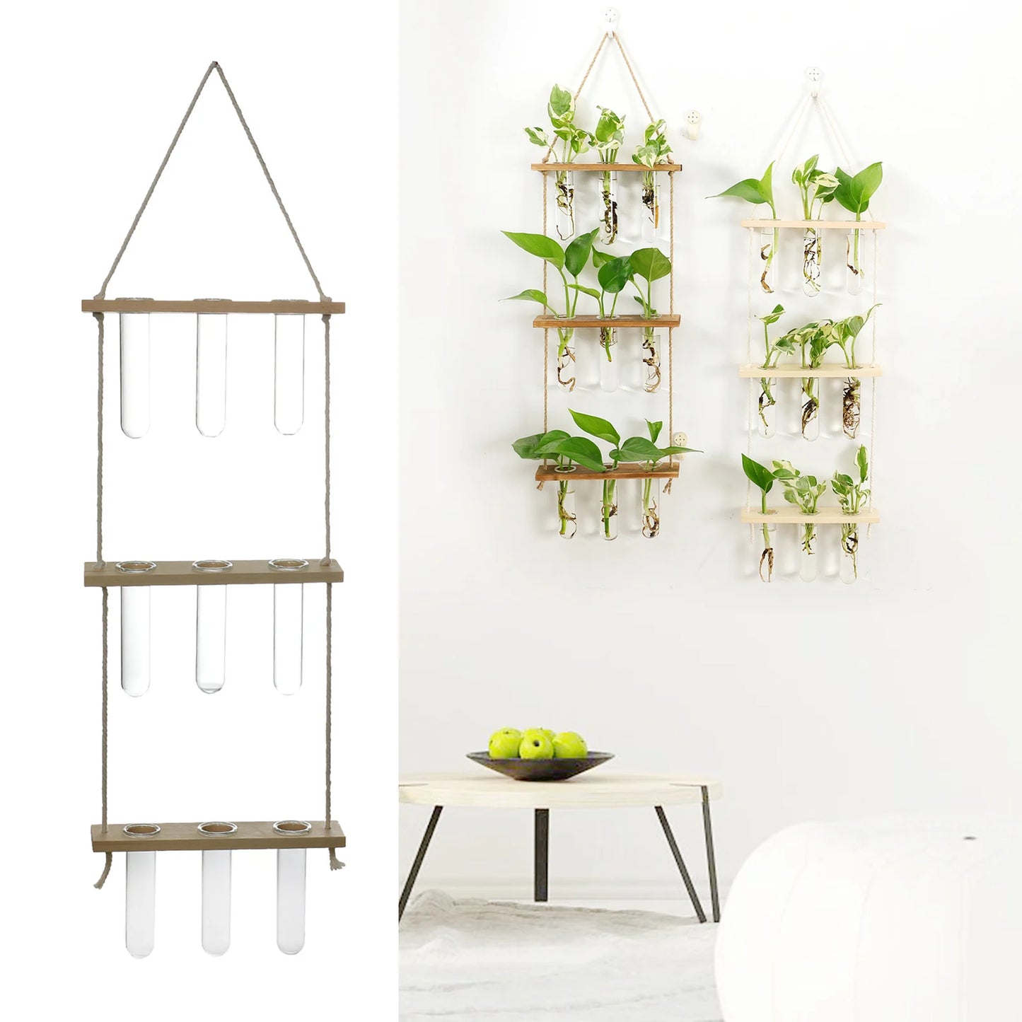 Wall Hanging Glass Terrarium with Wooden Holder