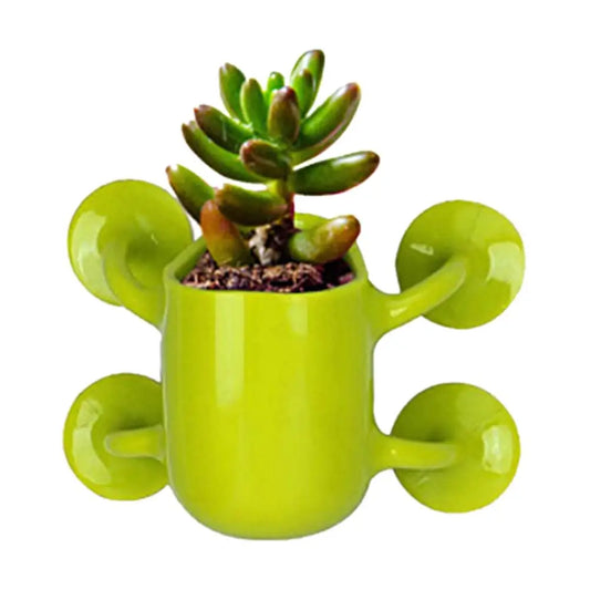 Discover our lightweight and space-saving Flower Pot crafted from high-quality ABS material. Attachable with suction cups, ideal for stylish indoor gardening solutions.