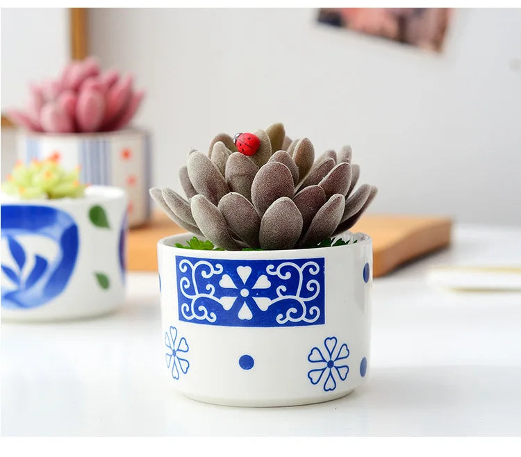 Colorful Nordic Ceramic Flowerpot