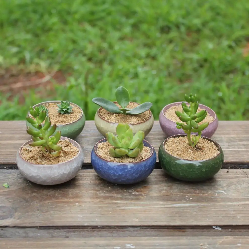 Compact Ceramic Succulent Flower Pot