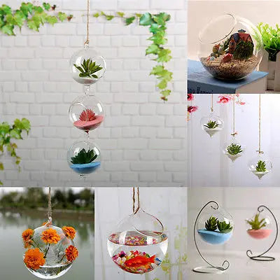 Glass Hanging Ball Planter