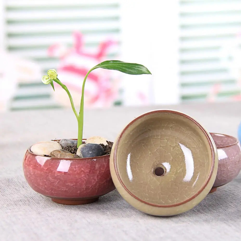 Compact Ceramic Succulent Flower Pot