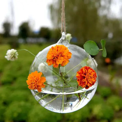 Glass Hanging Ball Planter