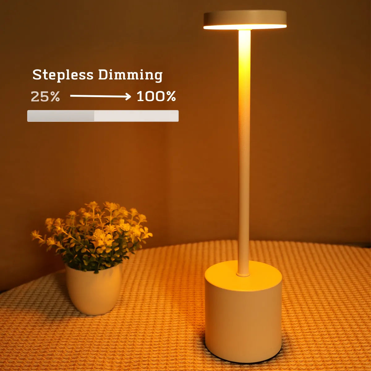 Rechargeable Touch LED Ambient Light Table Lamp