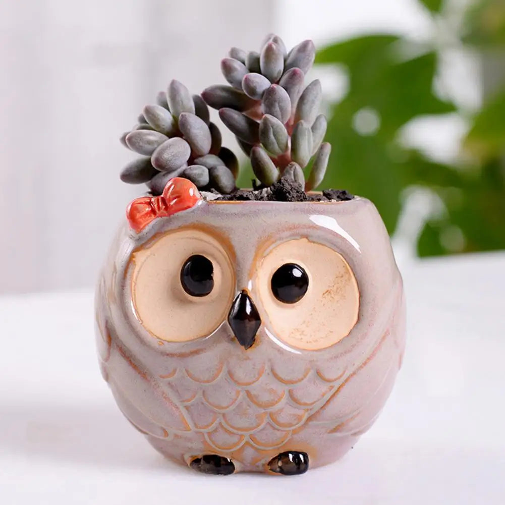 Big-eyed Owl Ceramic Flower Pot