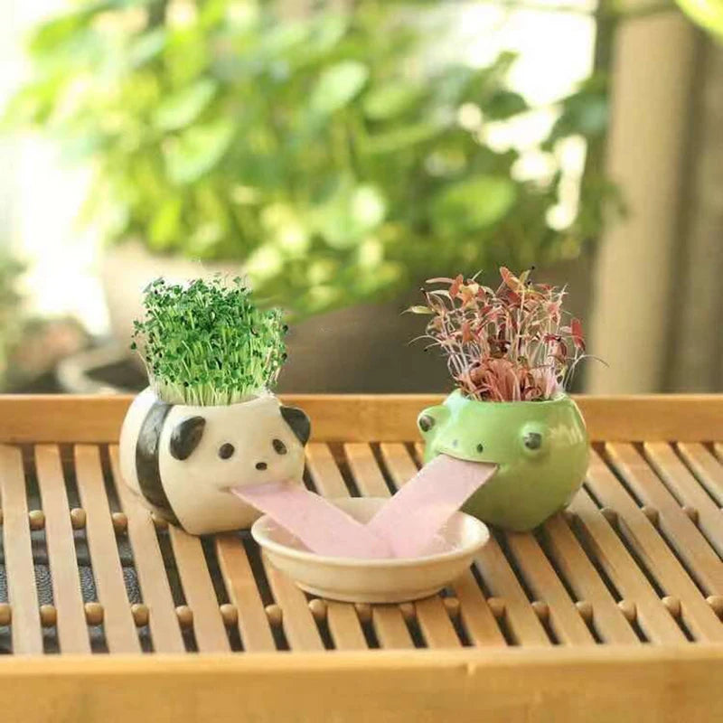 Cute Animal Ceramic Flower Pots