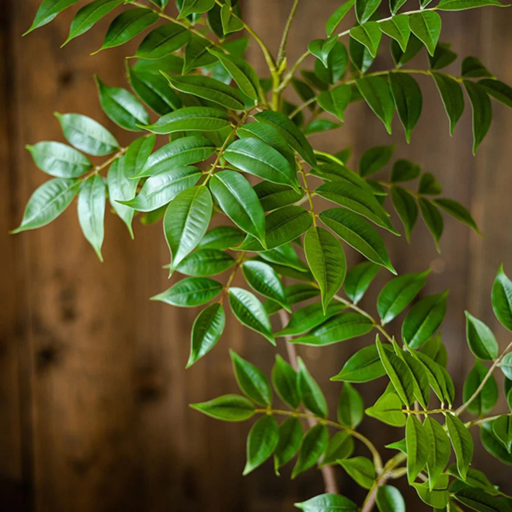 Large Artificial Ficus Plant