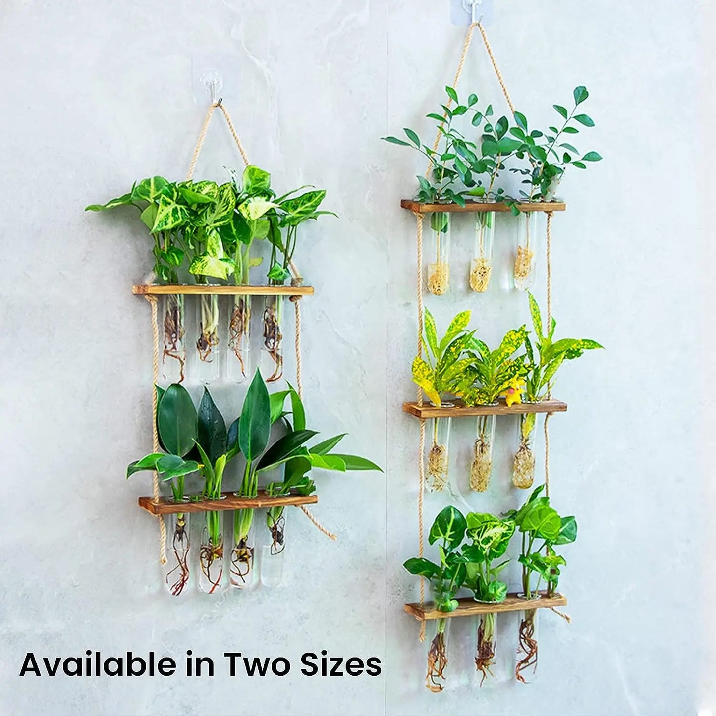 Hanging Glass Planter Vase