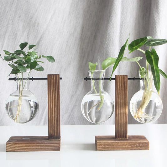 Enhance your home with our Wooden Frame Hydroponics Vase. Perfect for small plants, this elegant vase combines premium glass and solid wood for a modern, natural touch.