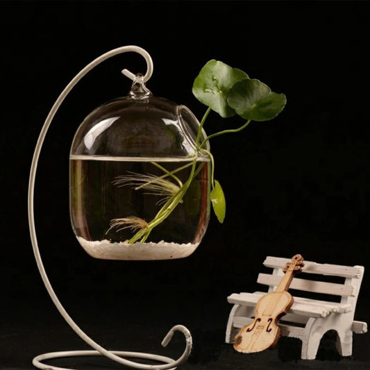 Elevate your space with our Suspended Transparent Hanging Glass Fish Tank, perfect for fish or as a stylish flower vase.