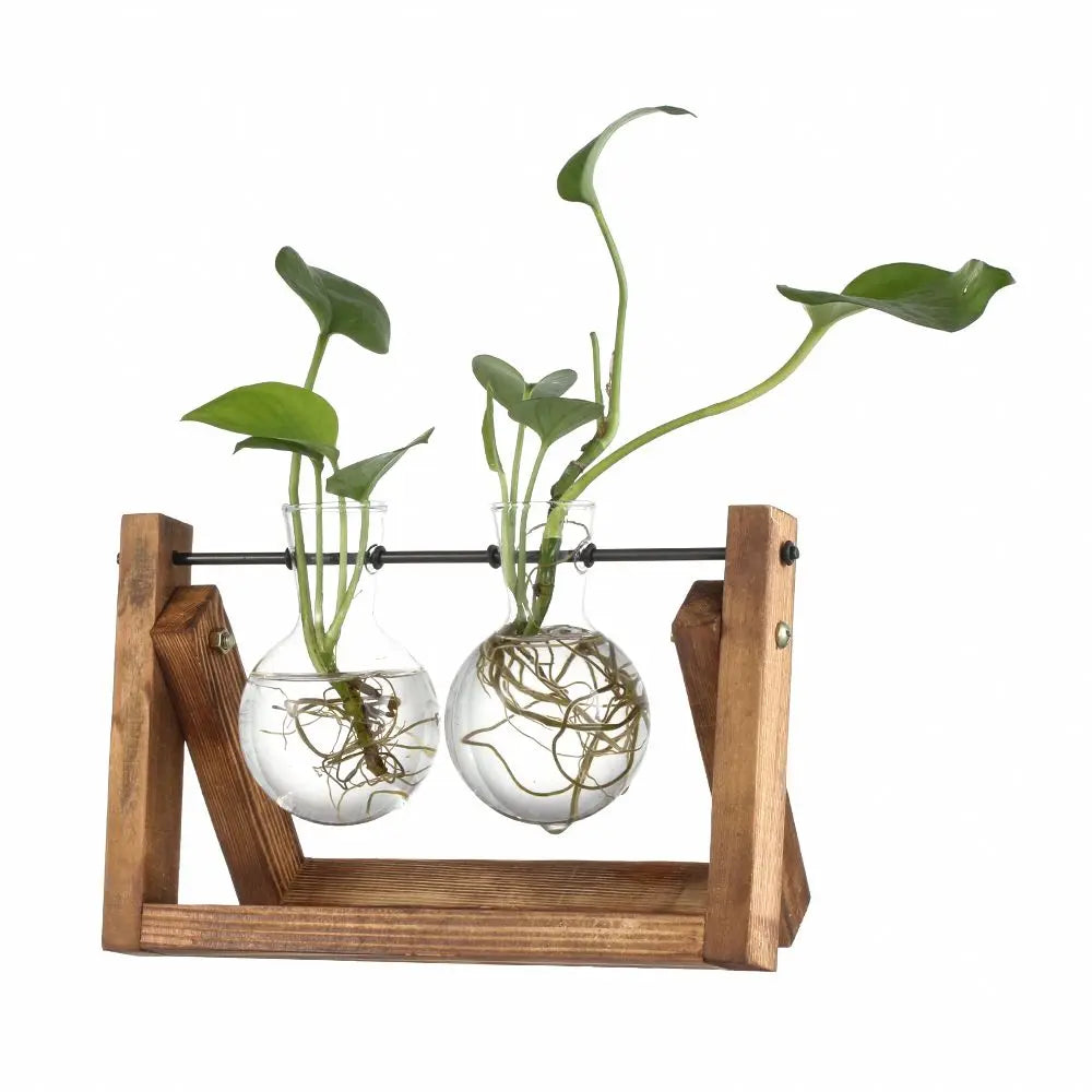 Vintage Hydroponic Plant Vase