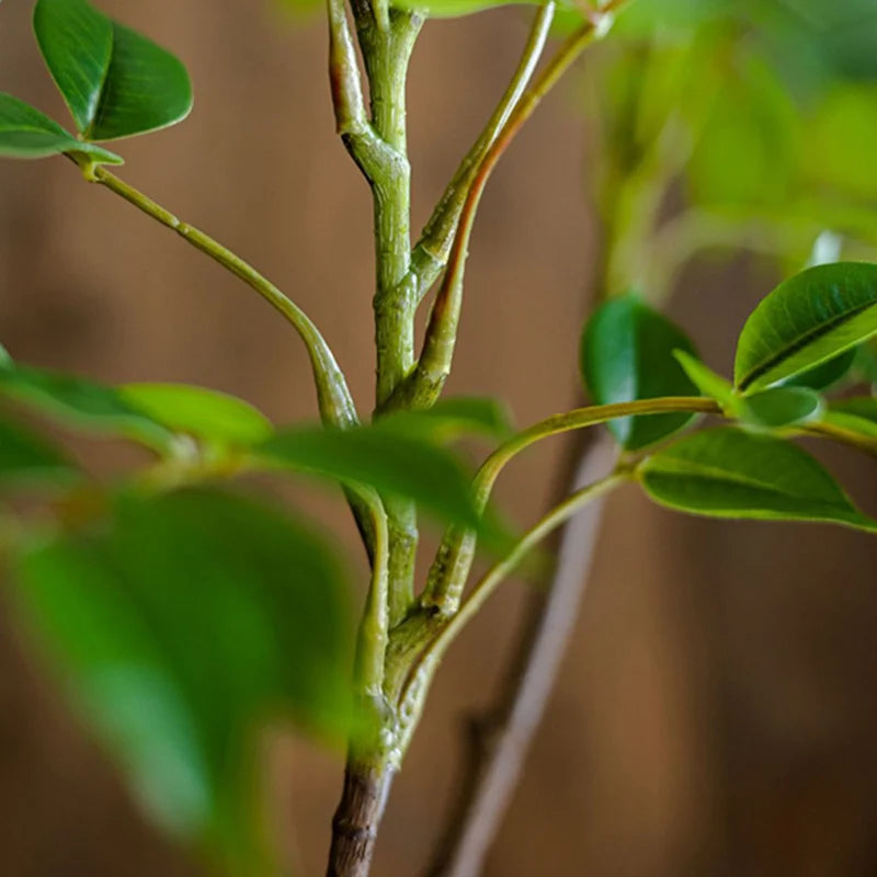 Large Artificial Ficus Plant