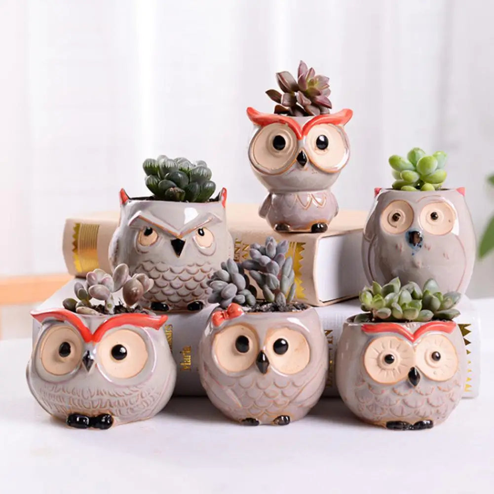 Big-eyed Owl Ceramic Flower Pot