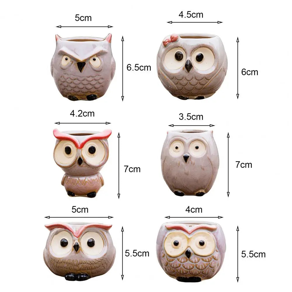 Big-eyed Owl Ceramic Flower Pot