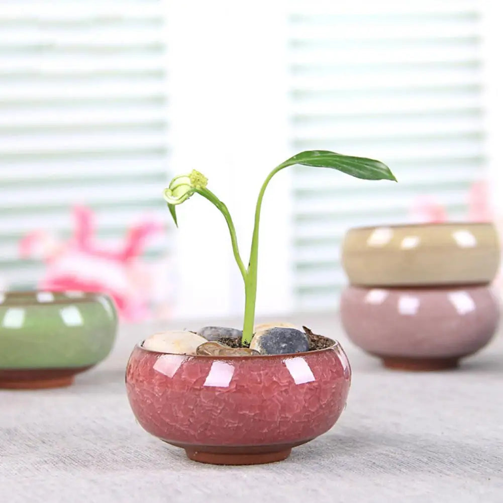 Mini Ceramic Flower Pot