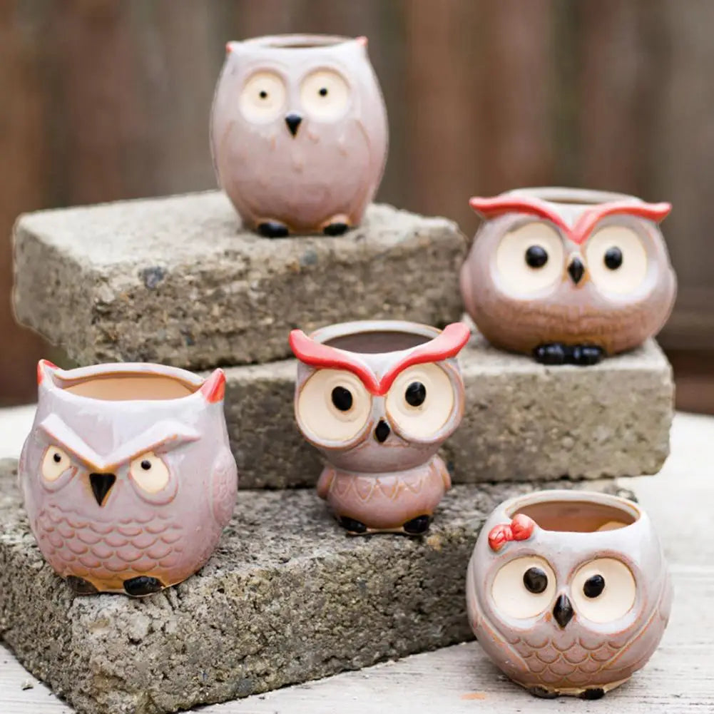 Big-eyed Owl Ceramic Flower Pot