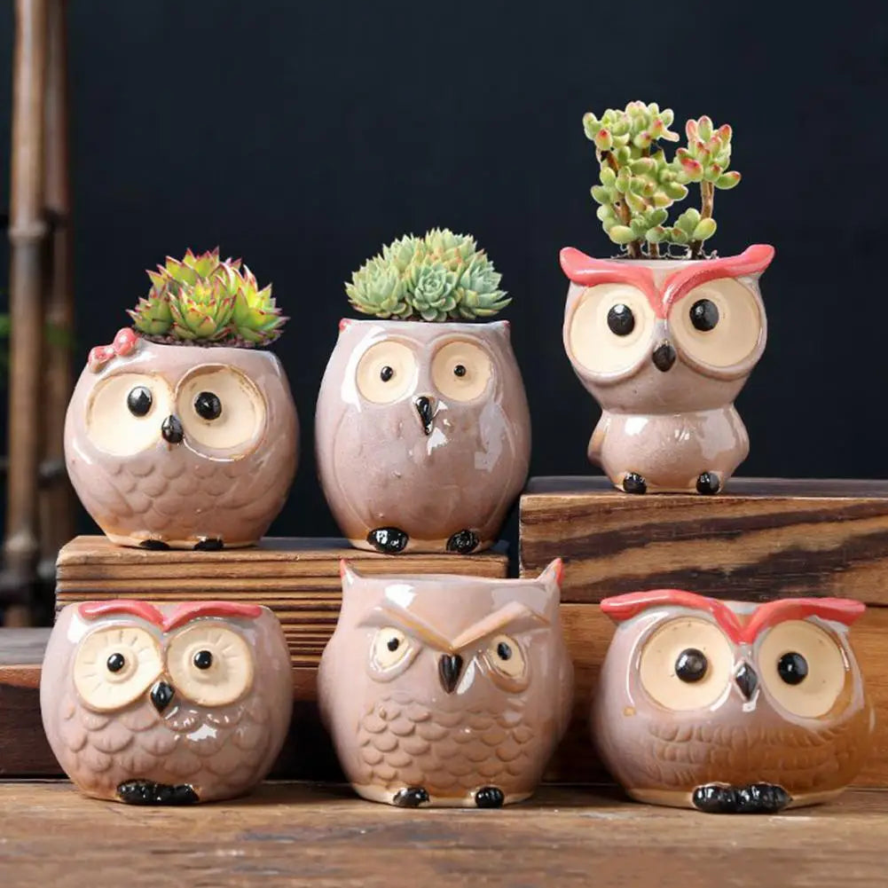 Bring whimsy to your decor with our handmade Owl Flower Pot. Lightweight ceramic with drainage holes for indoor plants. Explore styles and sizes