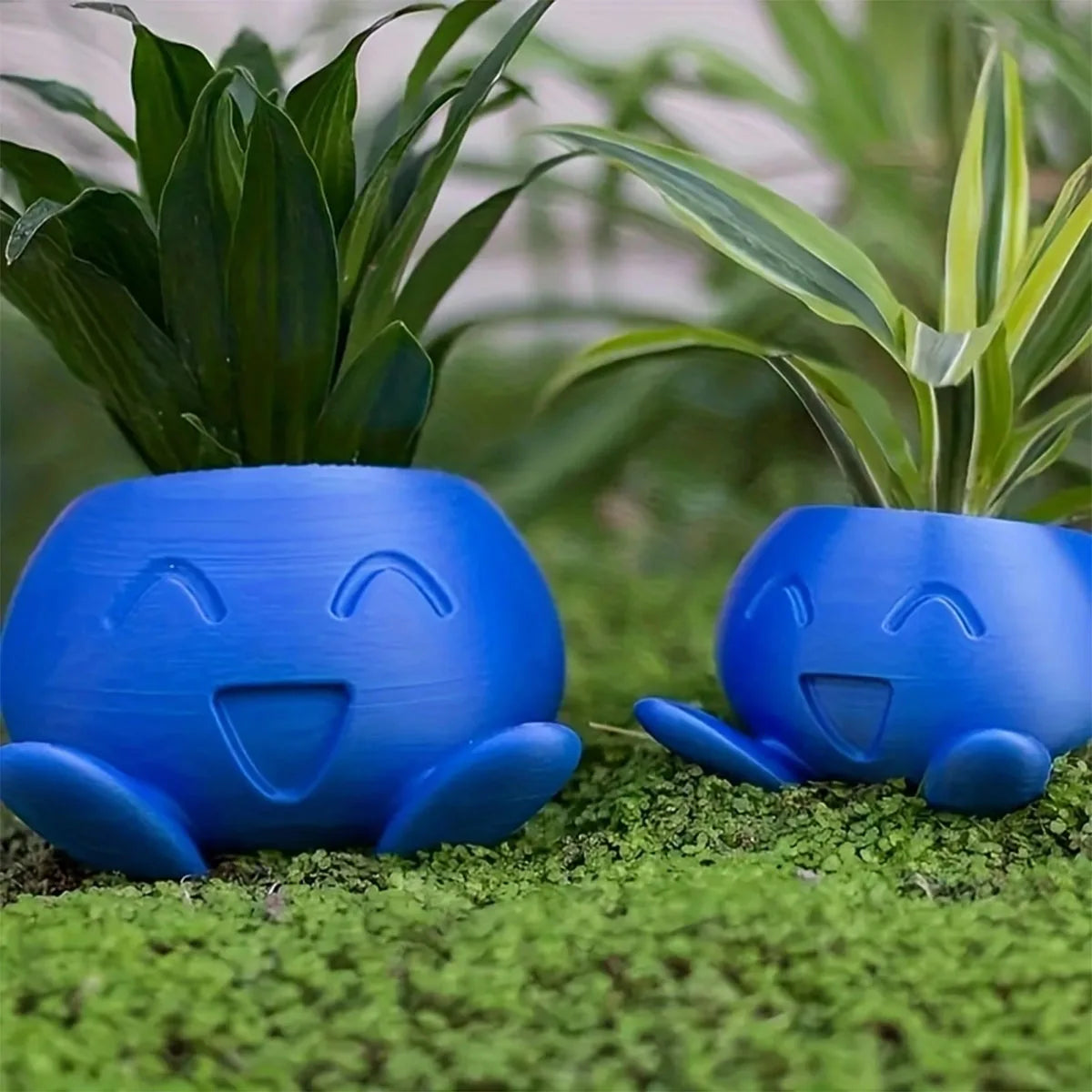 Oddish Succulent Flower Planter