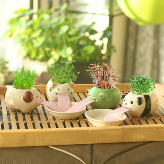 Explore our adorable Cute Ceramic Flower Pots featuring penguin, frog, pig, polar bear, and cat designs. Perfect for succulents and small plants, ideal for office desks, living rooms, and balconies.