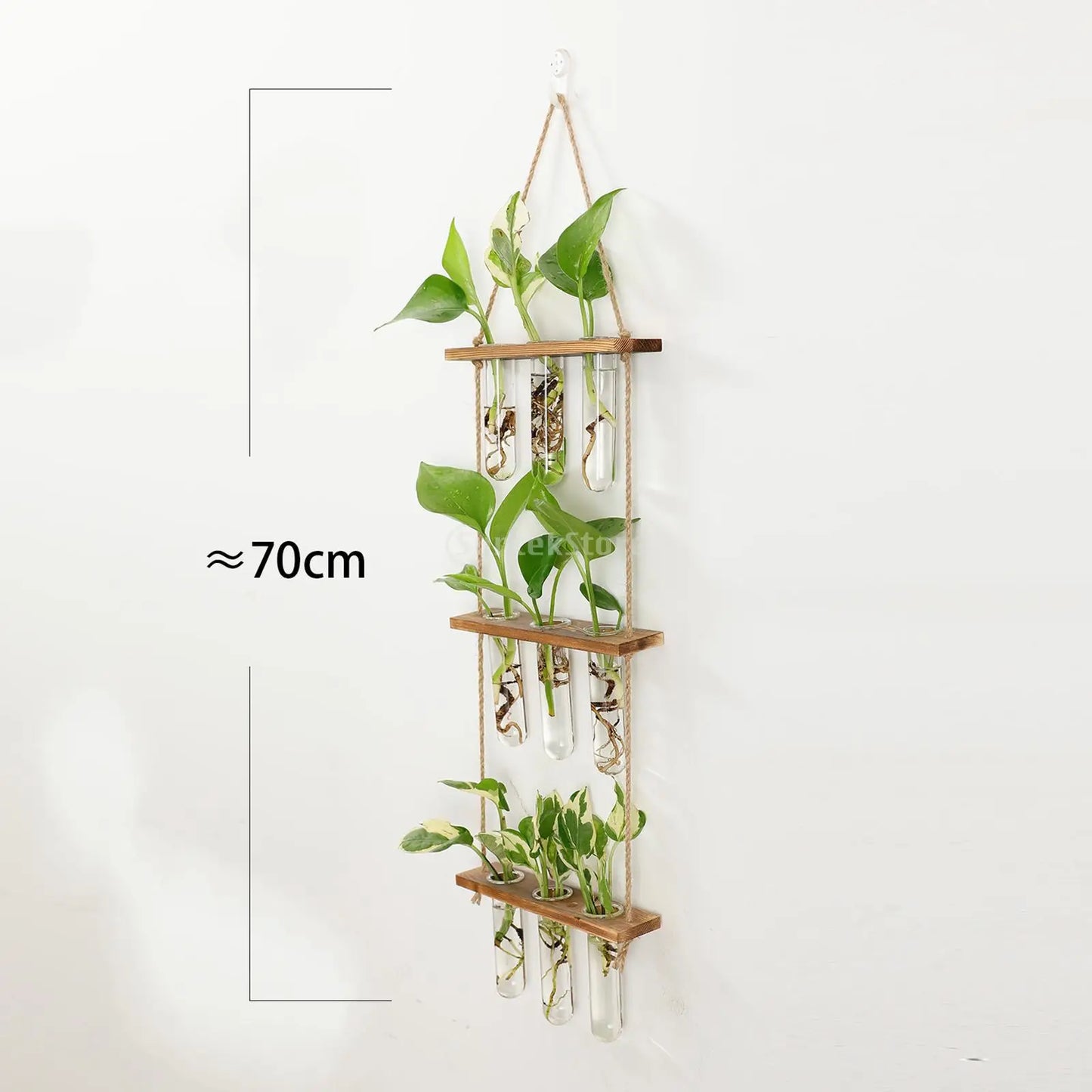 Wall Hanging Glass Terrarium with Wooden Holder