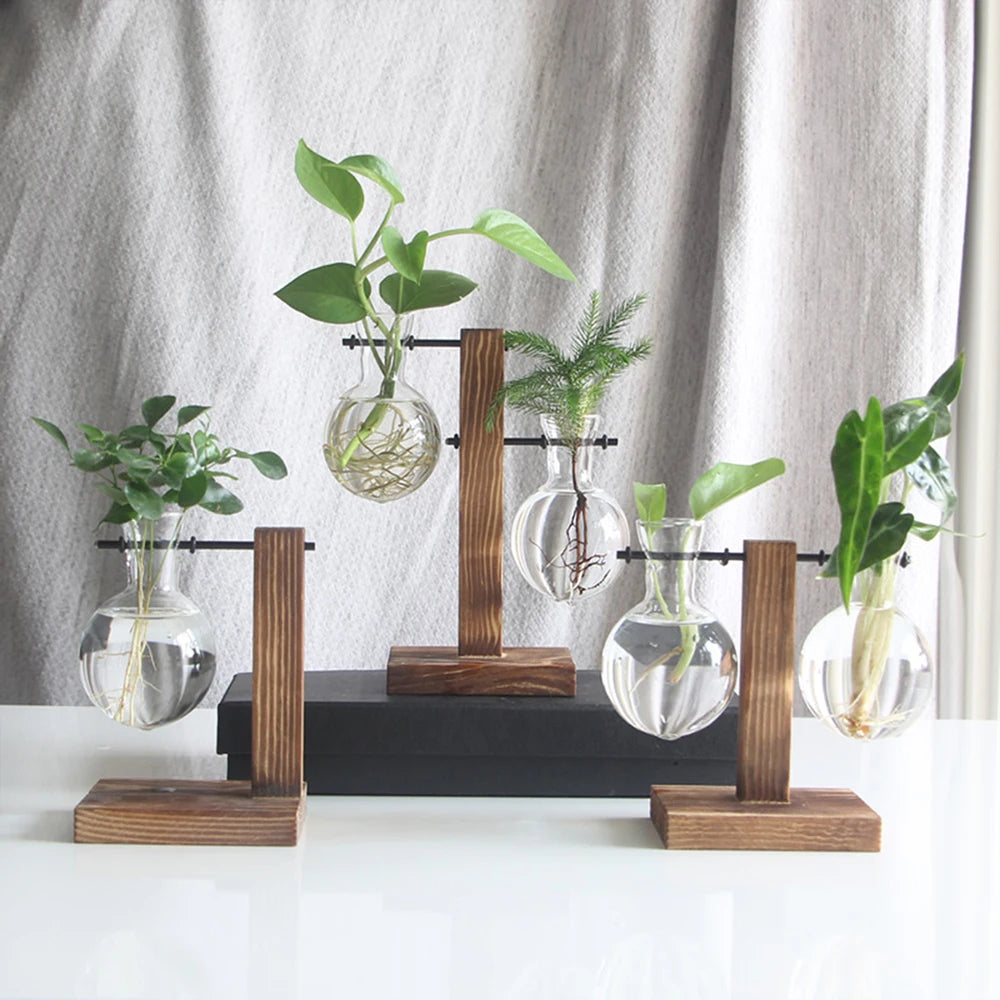 Glass Bulb Planter with Wooden Stand