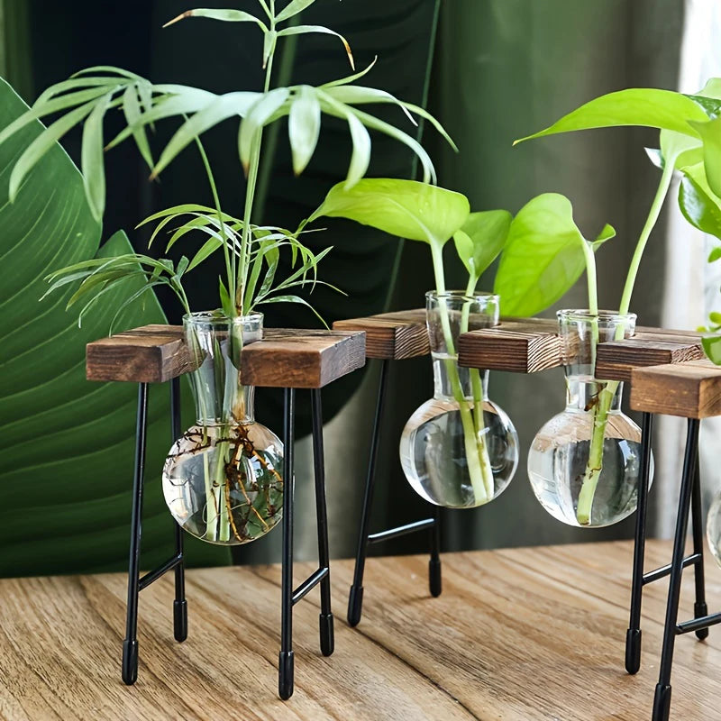 Glass & Wood Frame Hydroponic Vase