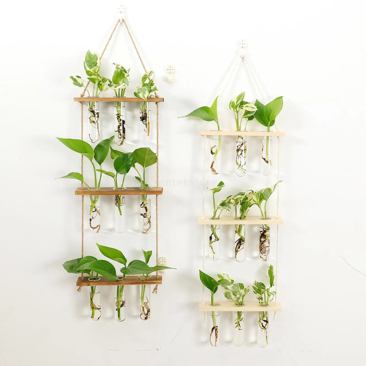 Wall Hanging Glass Terrarium with Wooden Holder