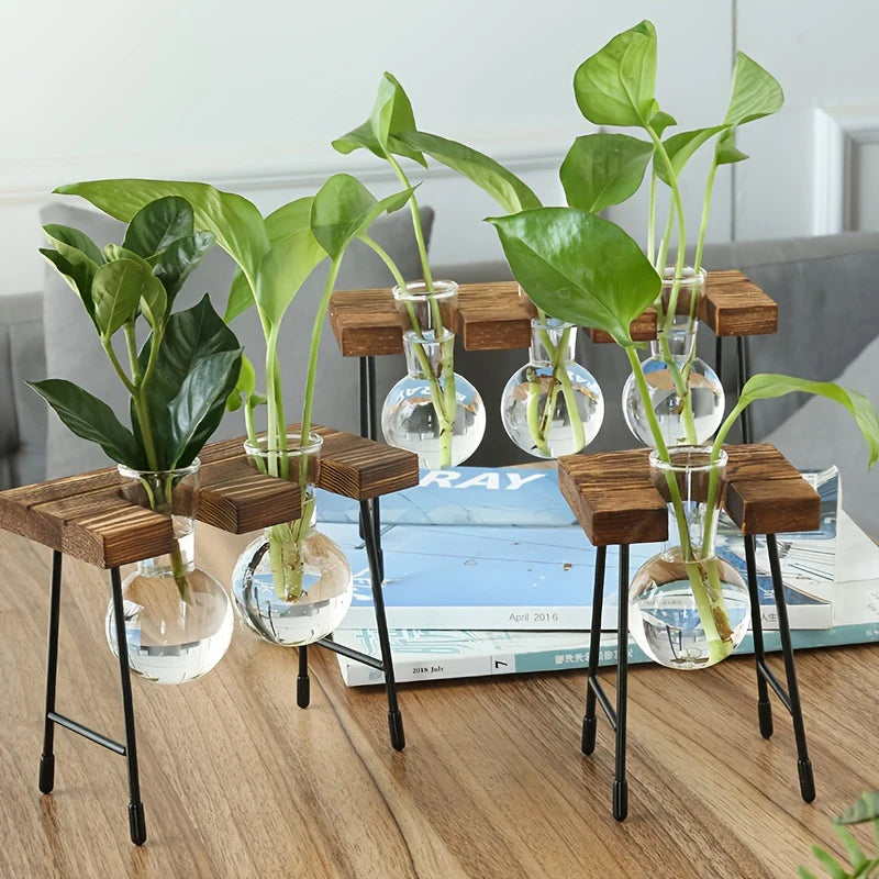 Enhance your home decor with our Transparent Glass Flower Vase in a wooden frame. Perfect for bonsais or flowers, it combines modern elegance with rustic charm.