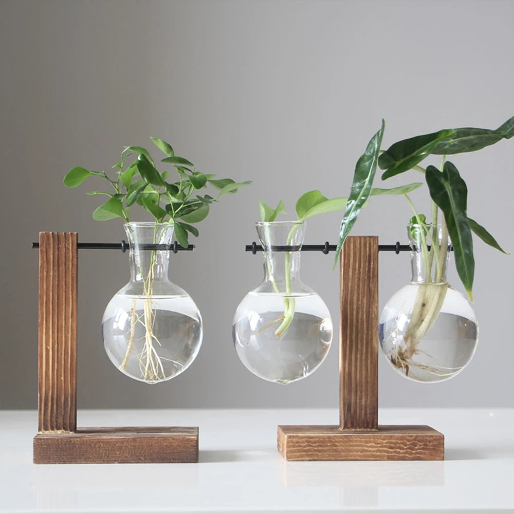 Glass Bulb Planter with Wooden Stand