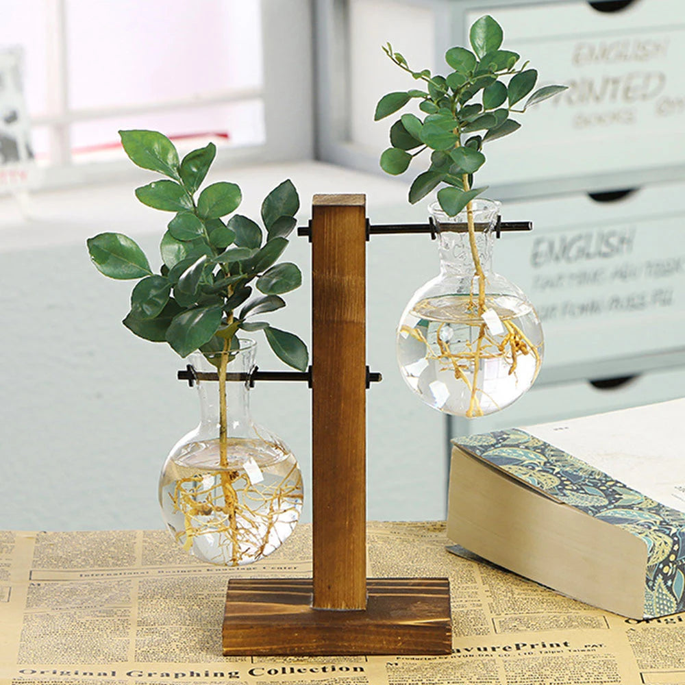 Glass Bulb Planter with Wooden Stand