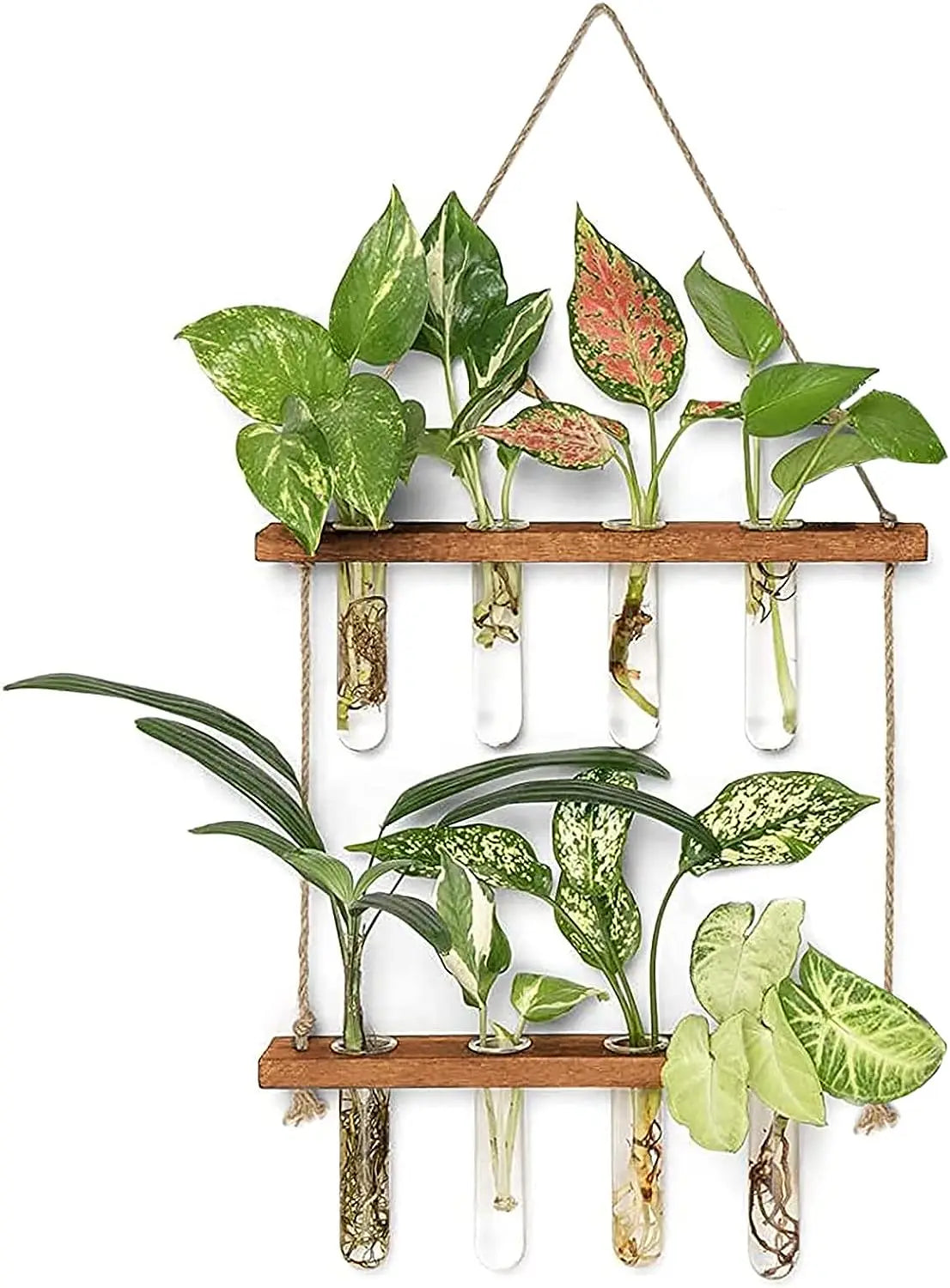 This wall-mounted glass hydroponic vase features 8 tubes, perfect for plant propagation or displaying flowers. Ideal for indoor and outdoor use, it enhances any room's decor.