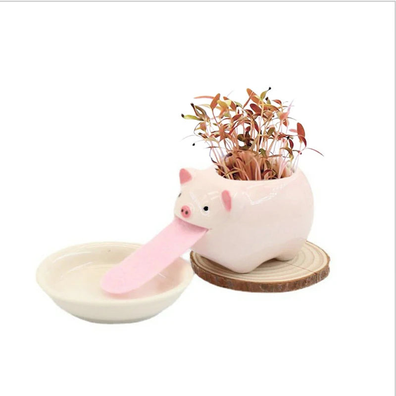 Cute Animal Ceramic Flower Pots