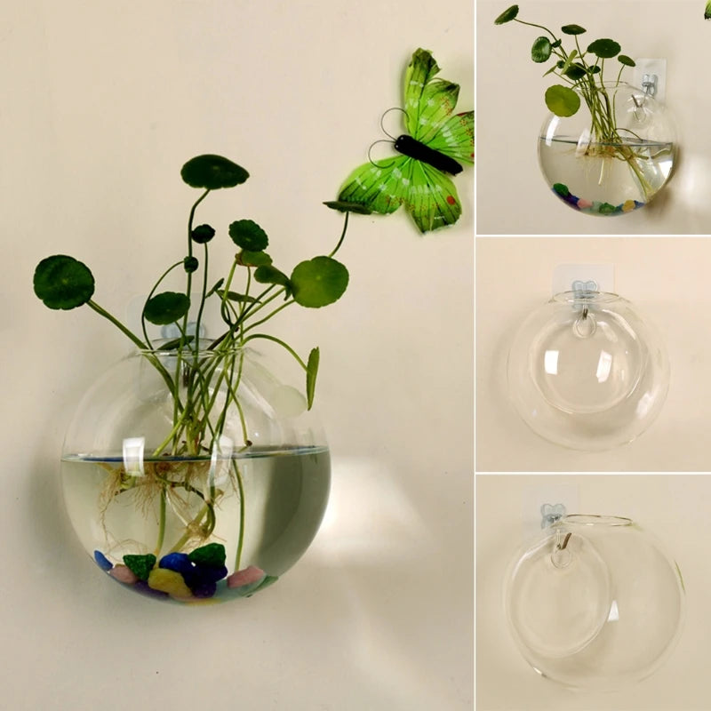 Glass Wall Hanging Terrarium