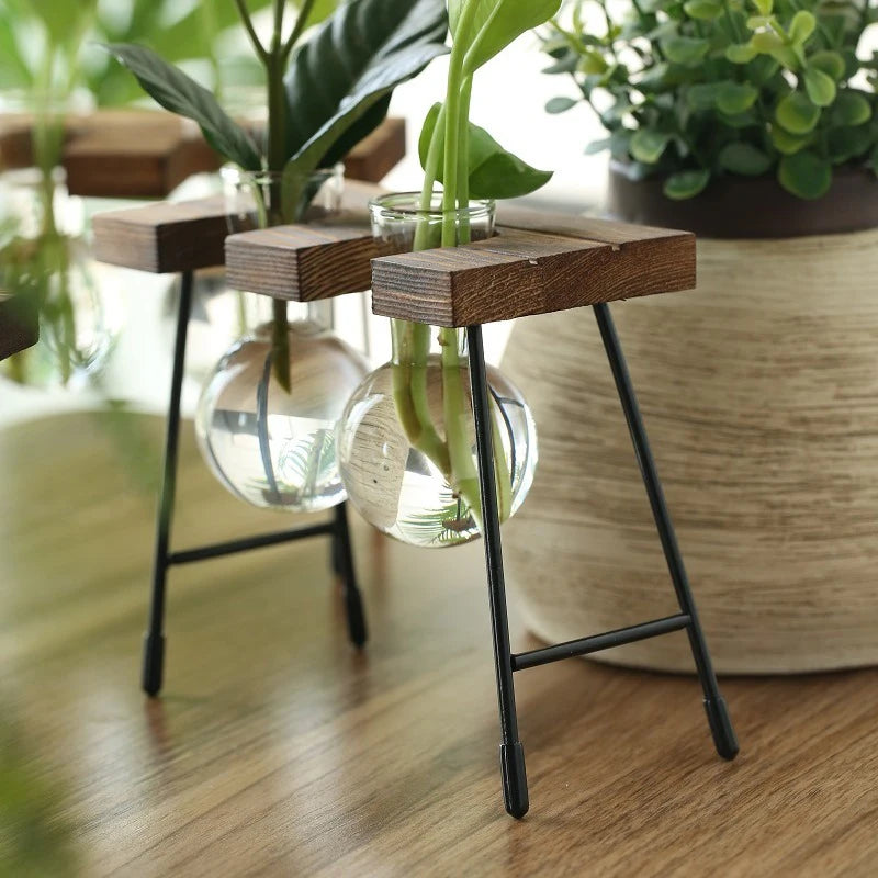 Glass & Wood Frame Hydroponic Vase