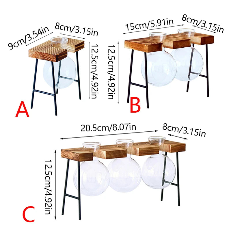 Glass & Wood Frame Hydroponic Vase