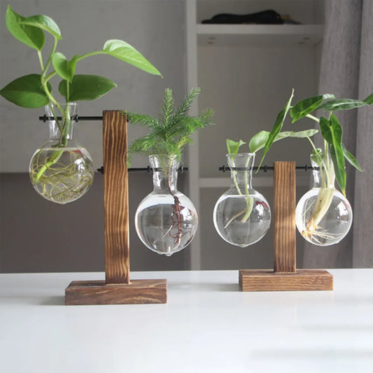 Add modern elegance with our Creative Glass Desktop Planter Bulb Vase. Mounted on a wooden stand, it’s perfect for showcasing indoor plants or herbs.