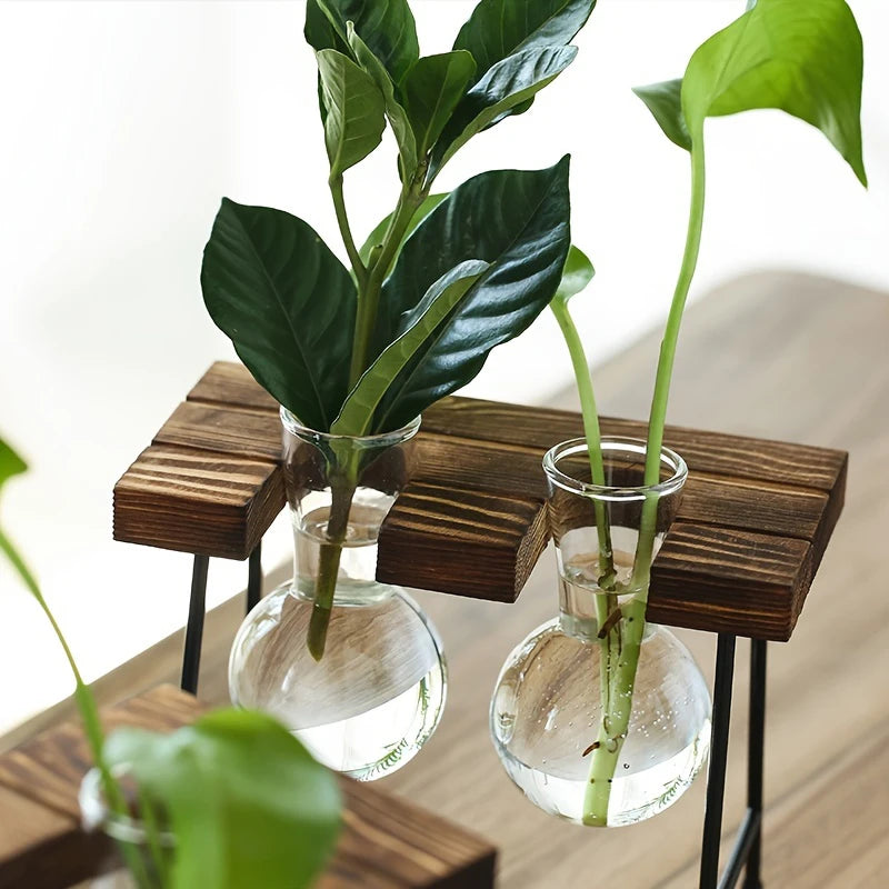 Glass & Wood Frame Hydroponic Vase